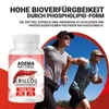 Adema Natural® Krillöl – Omega 3 - Astaxanthin – Produktbild-Vorschau 6