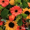 Zestaw Nasion Kwiatów Ciętych – 20 Odmian - Organifer Podgląd zdjęcia produktu 3