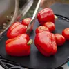 OVERGRILL 5X GRIGLIA PER BBQ: COTTURA INDIRETTA FINO A 260 Anteprima dell’immagine prodotto 6