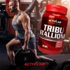 Tribu Stallion Tribulus Terrestris 600 mg extract, Productafbeelding-voorbeeld 4