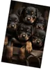 Oryginalny dywanik 120x160 cm - Szczenięta rottweilera Podgląd zdjęcia produktu 1