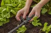 Micro-Drip-System Sprühdüse 360°, 5 Stück (schwarz/türkis, Produktbild-Vorschau 2