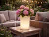 2er Set LED Blumentopf Deko Solarleuchten mit RGBW & Produktbild-Vorschau 2