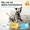 HUND IST KÖNIG Windeln für Hündinnen [3 Stk], M (Taille Produktbild-Vorschau 2