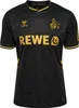 hummel 1. FC Köln 25/26 3RD JERSEY FC-Ausweichtrikot Produktbild-Vorschau 2