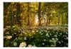 Basera Selbstklebende Fototapete Waldmotiv c-B-0031-a-a, Produktbild-Vorschau 2