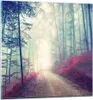 Bilder auf glas - Wald Baum Natur - 50x50cm - Glasbilder - Produktbild-Vorschau 1