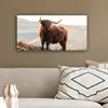 MuchoWow® - Leinwandbilder - Schottische Highlander - Tiere Produktbild-Vorschau 5