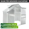 BRAST Gewächshaus Aluminium mit Fundament | 130x190x195cm Produktbild-Vorschau 9