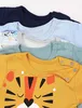 TupTam Jungen Baby Body Langarm Unifarben 5er Pack, Farbe: Produktbild-Vorschau 4