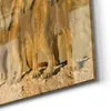DEQORI Glasbild Echtglas 30x30 cm 'Wachsame Freunde' Produktbild-Vorschau 5
