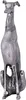 A silver-colored sculpture of a greyhound dog sitting down, presented against a white background. Produktbild-Vorschau