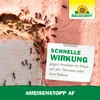 AmeisenStopp AF schnelle Wirkung gegen Ameisen im Haus auf Terrasse und Balkon Produktbild-Vorschau
