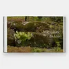 The Art of Fine Gardening Produktbild-Vorschau 6