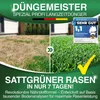 DÜNGEMEISTER Rasendünger für Ihren sattgrünsten Traumrasen Produktbild-Vorschau 2