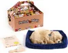 Perfect Petzzz Zlatý retriever 96118 Náhľad obrázku produktu 2