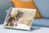 MuchoWow® Laptop Aufkleber Sticker Cover Kätzchen - Produktbild-Vorschau 4