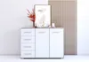 A white dresser with a wood-tone top, decorated with a vase of red flowers, a framed abstract artwork, and decorative objects. Náhled obrázku produktu