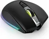 A black gaming mouse with RGB lighting on a white background. Produktbild-Vorschau