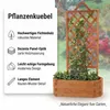 Mucola Blumenkasten mit Rankgitter Pflanzkasten Rankgitter Produktbild-Vorschau 2