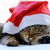 Cappello di Babbo Natale con campanelle a pompon Anteprima dell’immagine prodotto 16