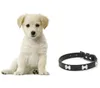 Süßes schwarzes Hundehalsband aus Leder mit Knochen Produktbild-Vorschau 8