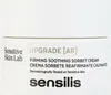 Beruhigende Creme Sensilis Upgrade AR Firming (50 ml) Produktbild-Vorschau 2