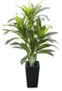 Künstliche Dracaena Pflanze - 180 cm Bodenbaum im Topf - Produktbild-Vorschau 1