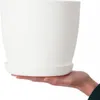 Vaso da fiori KADAX "Agen", fioriera con sottovaso, bianco, Anteprima dell’immagine prodotto 6