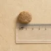 A single piece of dog kibble is shown next to a ruler for scale. Náhled obrázku produktu