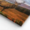 Bild auf Leinwand - Leinwandbild - Einteilig - Rehe Wiese Produktbild-Vorschau 5