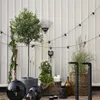 Star LED-Party-Kette 'Circus Filament', 20-teilig, Produktbild-Vorschau 7