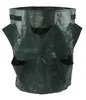 APT AG691A Borsa da giardino per fragole 170 x 330 mm Anteprima dell’immagine prodotto 3