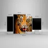 Bild auf Leinwand - Leinwandbild - tiger tier - 120x70cm - Produktbild-Vorschau 3