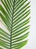 Deko-dadelpalmblad, 84 cm – Natuurgetrouw en flexibel Productafbeelding-voorbeeld 9