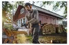 Stihl Benzin-Kettensäge MS 162, Teilung 3/8 1.1 mm, Schwert Produktbild-Vorschau 6