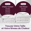 FLANDRIA Couette en Plumes et Duvet Chaude 650 g/m², Voir les images du produit 8