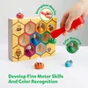 Feinmotorisches Geschicklichkeitsspielzeug für Kleinkinder, Produktbild-Vorschau 2