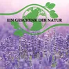 Lavendelbloemen, gedroogd, 1 liter (1 x ongeveer 140 gram) Productafbeelding-voorbeeld 4