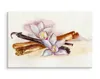 Fabelhafte Canvas LEINWAND BILDER 40x30 cm XXL Kunstdruck Produktbild-Vorschau 3