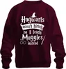 Hogwart nie zatrudnia, więc zamiast tego uczę mugoli Harry Podgląd zdjęcia produktu 1
