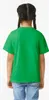 Gildan Softstyle® Youth T-Shirt Produktbild-Vorschau 6