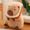 Peluche capibara Peluche pane tostato peluche 30 cm Anteprima dell’immagine prodotto 2