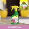 Neudorff OrchideenPflege Spray 250 ml Produktbild-Vorschau 5