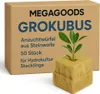 Kultivačné kocky z kamennej vlny 50 kusov pre hydroponické Náhľad obrázku produktu 1
