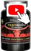 BPV - TESTRIDAL 60 Kapseln - Hardcore Booster - Produktbild-Vorschau 1