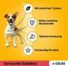 PEDIGREE Portionsbeutel Multipack Giant Pack Adult Produktbild-Vorschau 3