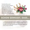 Cristinen Moor Hochwertiger Teufelskralle Balsam - 200ml - Produktbild-Vorschau 4