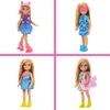 Barbie Chelsea HXN03, 3 rok / roky, 329 g Náhľad obrázku produktu 5