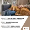 REAVET BallastoVET für Katzen 50g - schnelle Unterstützung Produktbild-Vorschau 5